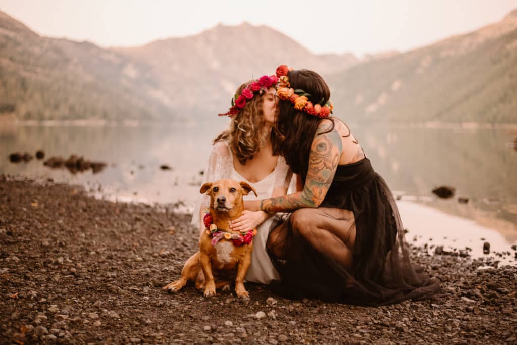 Cheap Booking price and finding an efficient wedding photographer / videographer for outdoor honeymoon session HD photography on a rocky sandy beach man with beard and groom wife in bridal dress playing with white German shepherd dog during summer season.