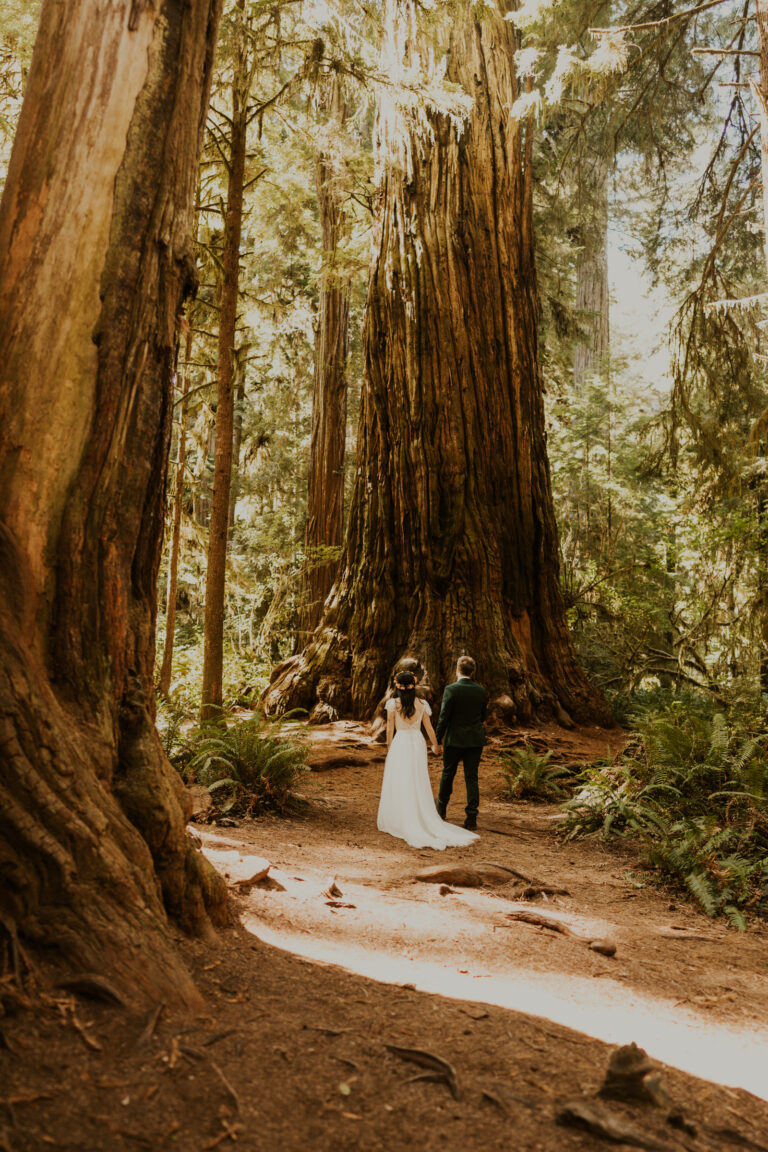 A Full Elopement Adventure on  the Oregon Coast and Redwoods